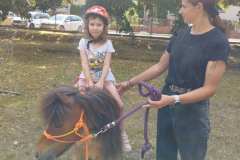 IMG_20250627_100940