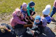 IMG_20250320_111742