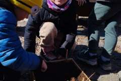 IMG_20250320_112206