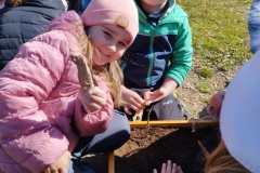 IMG_20250320_112319