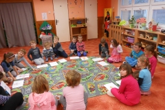 mš leden 161