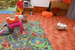 mš leden 184