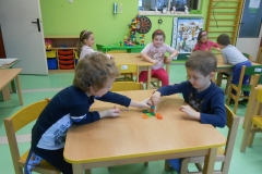 mš leden 313