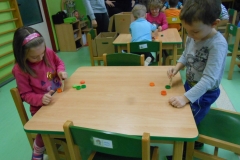 mš leden 315