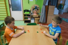 mš leden 317
