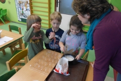 mš leden 323
