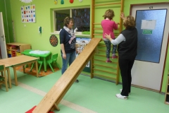 mš leden 342