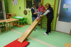 mš leden 343