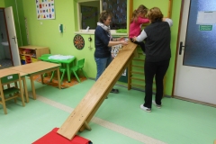 mš leden 345