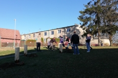 IMG_20190322_161959