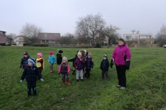 IMG_20171116_105030