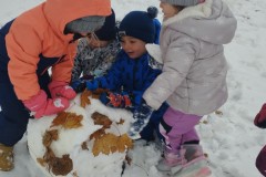 IMG_20251126_103703