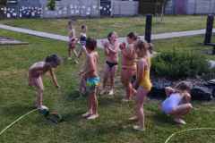 IMG_20250625_105519
