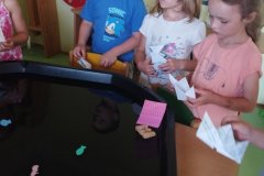 IMG_20250626_073705