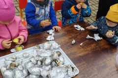 IMG_20251010_102356