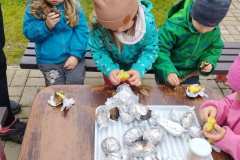 IMG_20251010_102653