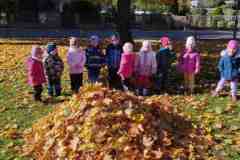 IMG_20251020_104907