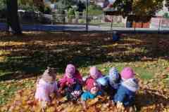 IMG_20251020_105515