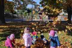IMG_20251020_105522