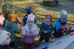 IMG_20251119_103537