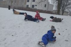 IMG_20260109_105142