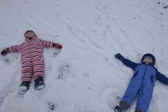 IMG_20260112_105928