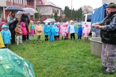 IMG_20191112_100808