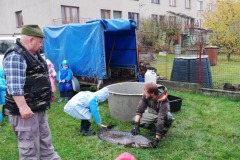 IMG_20191112_101845