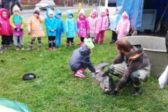 IMG_20191112_102027