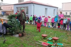 IMG_20191023_094339-Small