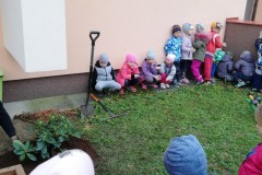 IMG_20191023_101442-Small