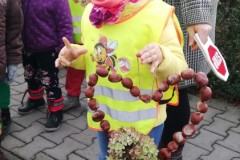 IMG_20191030_111707-Small