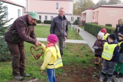 IMG_20191030_111759-Small