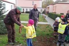 IMG_20191030_111801-Small