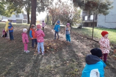 20181009_103441 (Custom)
