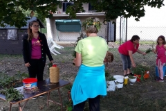 20180626_160800 (Medium)