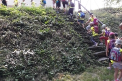 20180608_081734 (Medium)