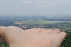 20180608_094357 (Medium)