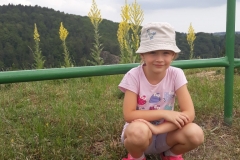 20180608_094529 (Medium)