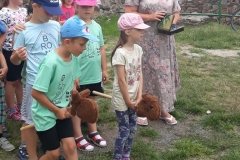 20180608_104141 (Medium)