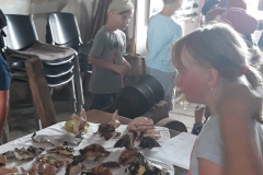 20180608_104811 (Medium)