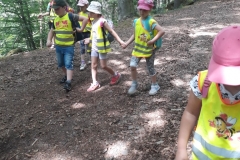 20180608_123331 (Medium)