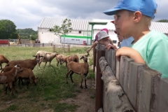 20180608_133158 (Medium)