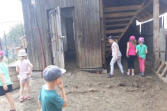 20180608_134048 (Medium)