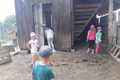 20180608_134051 (Medium)
