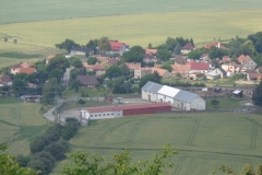 DSC00678 (Medium)